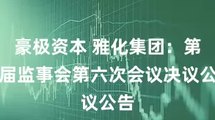 豪极资本 雅化集团：第六届监事会第六次会议决议公告