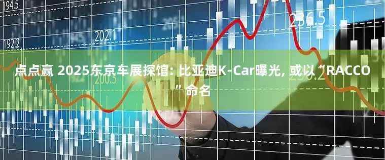 点点赢 2025东京车展探馆: 比亚迪K-Car曝光, 或以“RACCO”命名